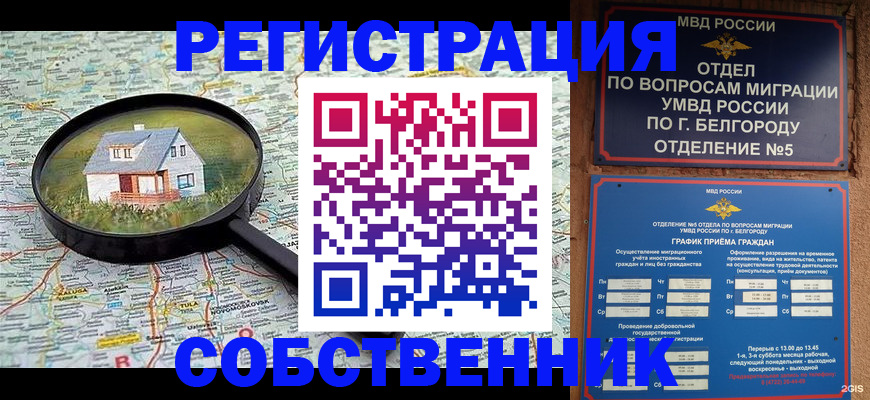 регистрация для школы в Новгородской области